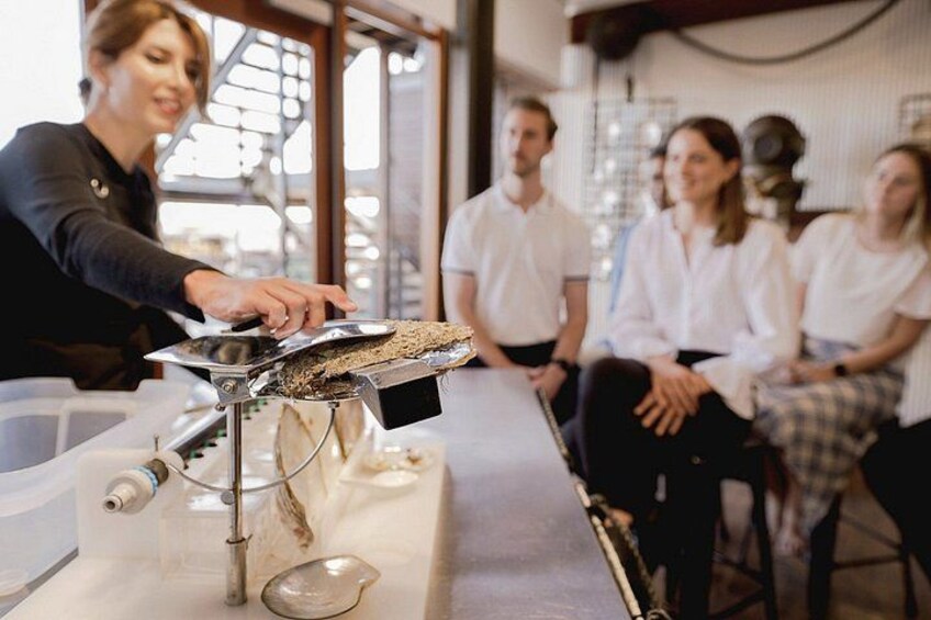 Harvest Your Own Pearl Private Experience Subiaco 2