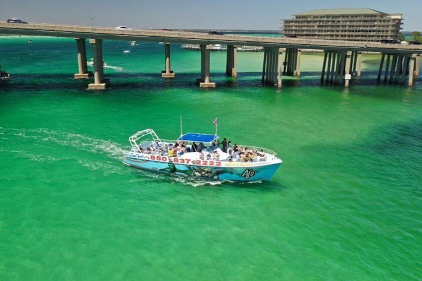 SeaQuest Daytime Dolphin Cruise in Destin 2
