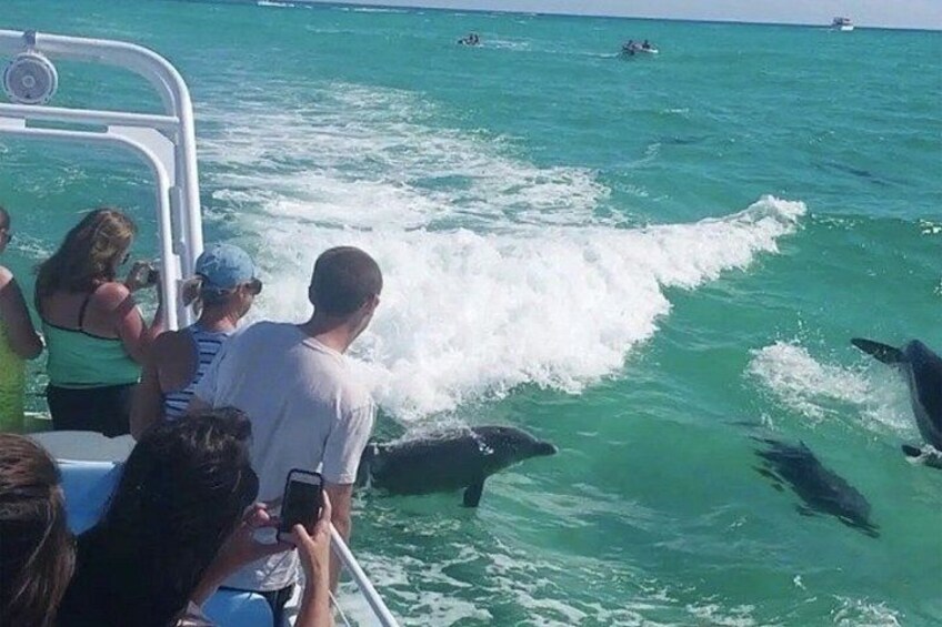 SeaQuest Daytime Dolphin Cruise in Destin 5