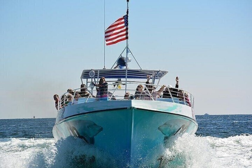 SeaQuest Daytime Dolphin Cruise in Destin 5