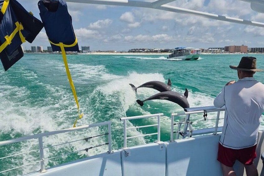 SeaQuest Daytime Dolphin Cruise in Destin 3