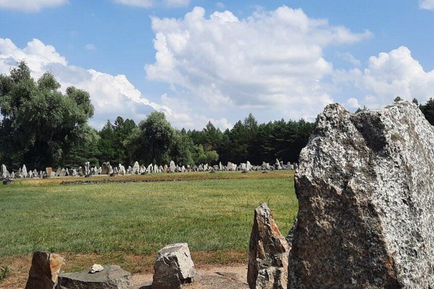 Een grasveld met grote rotsen en bomen op de achtergrond. 2