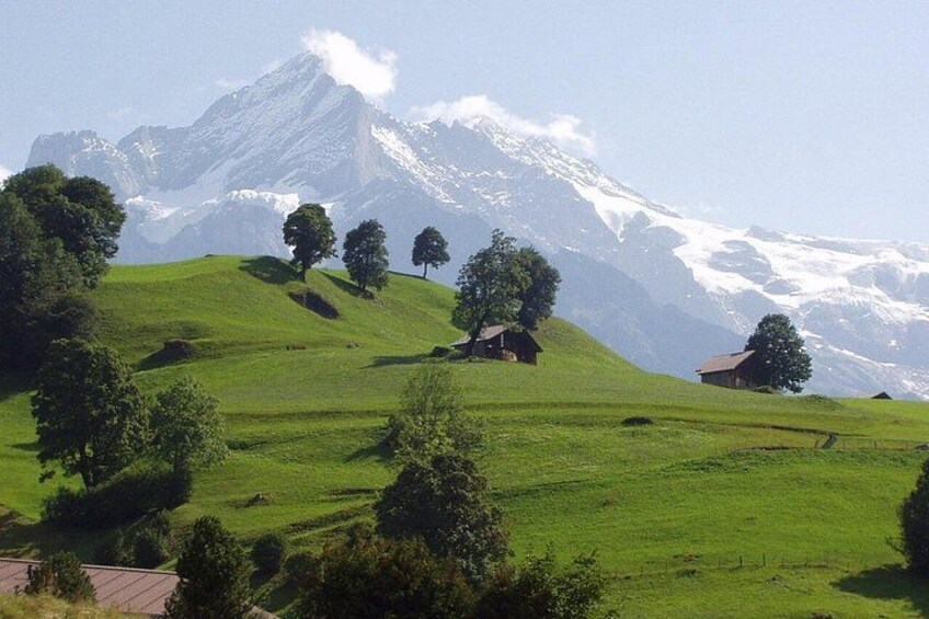 From Interlaken: Private Grindelwald and Lauterbrunnen Tours 3