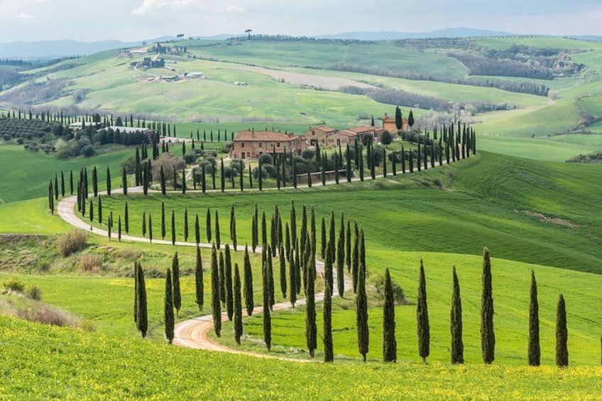 Tuscan Countryside 1