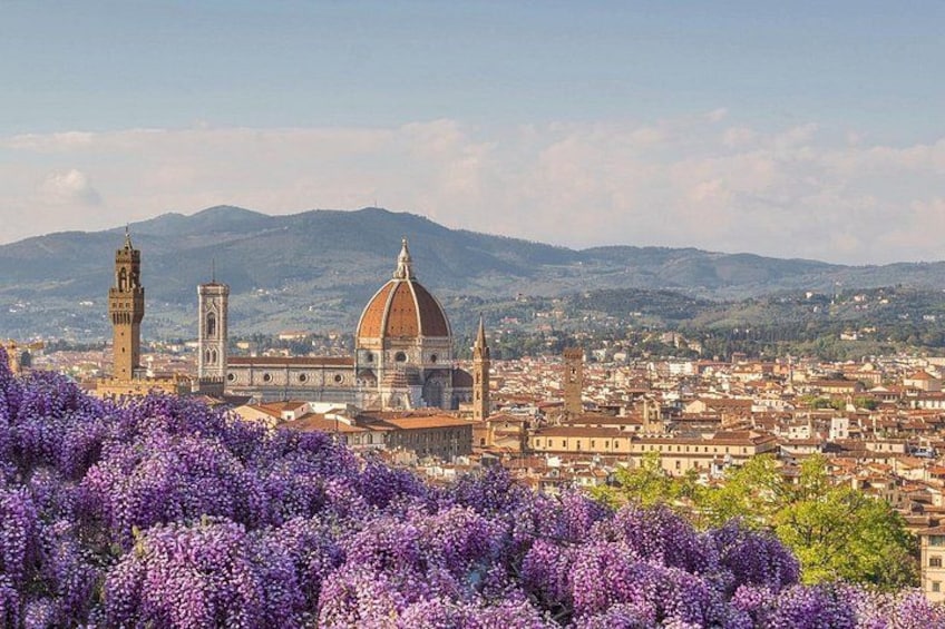 Florence Palazzo Vecchio and Duomo 2