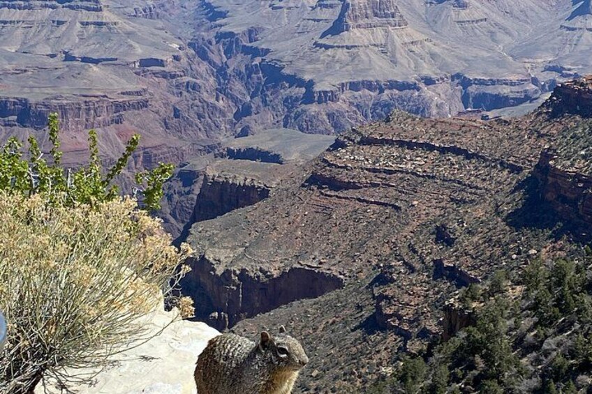 Grand Canyon Day Tour with Lunch - Pickup at Grand Canyon Village 5