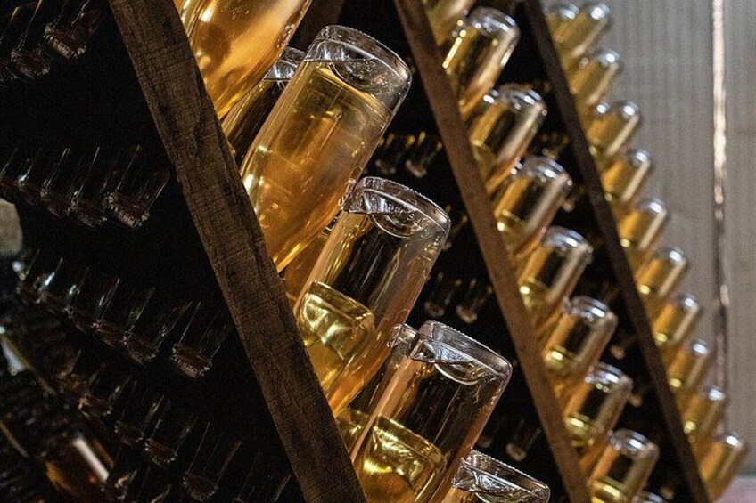 A rack of empty wine glasses. 5