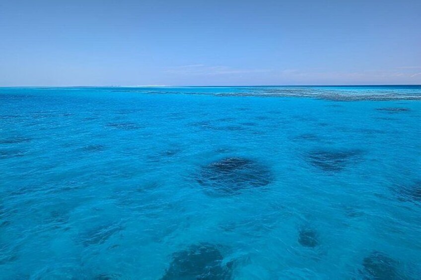 Swim with Dolphins at Dolphin House, Snorkeling & Lunch, Hurghada 5
