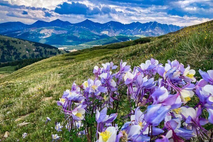 Camping and Hiking to Engineer Mountain 3