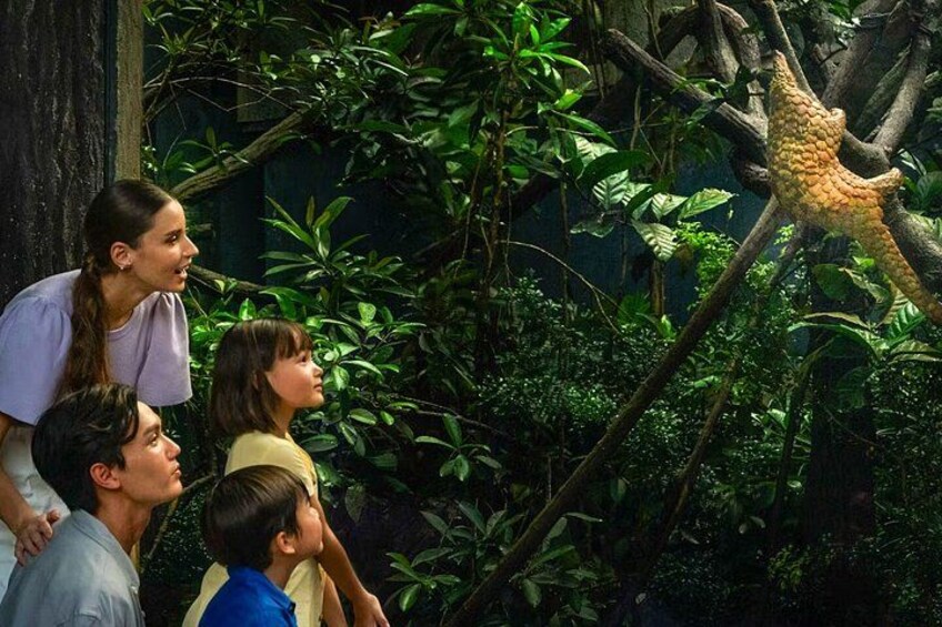 Night Safari Singapore Tickets with Tram Ride Experience 5