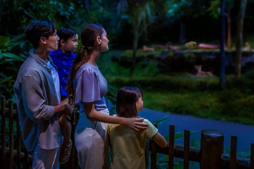 Night Safari Singapore Tickets with Tram Ride Experience 4