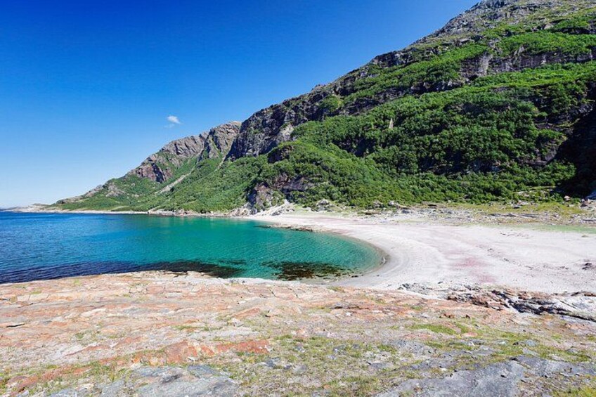 A coastal landscape with a clear blue sea, a sandy beach, and green hills. 1