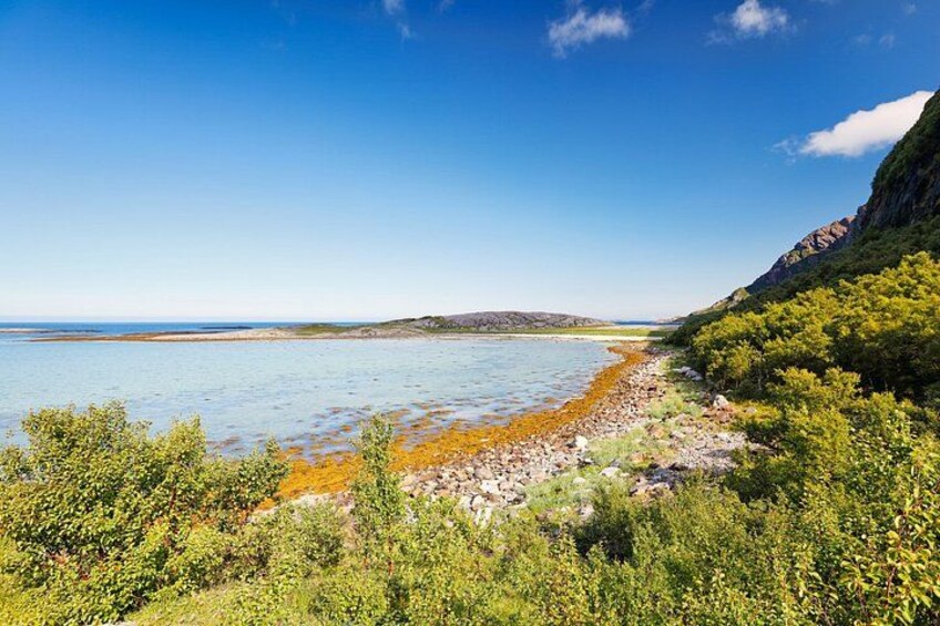 A coastal landscape with a clear sky, a rocky shoreline, and green vegetation. 3