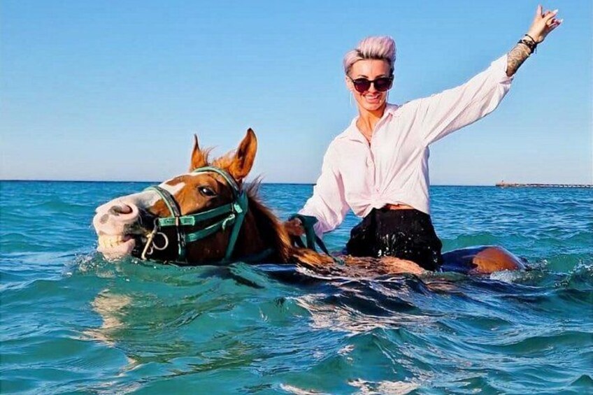 Horseback Riding Swimming Desert and Beach Hurghada 3