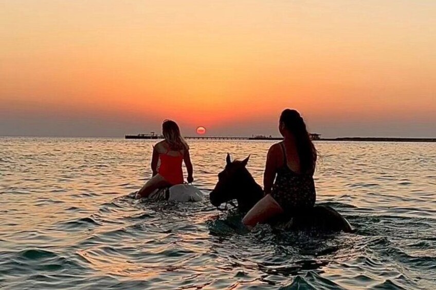 Horseback Riding Swimming Desert and Beach Hurghada 1