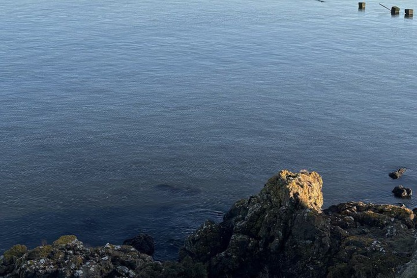 Fife History and Folklore Guided Tour 1