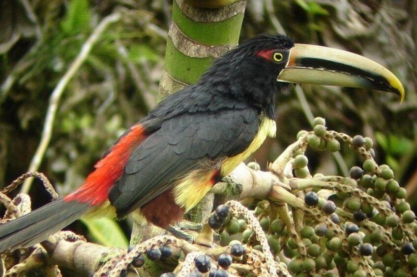 Guided Birding Photography Experience 2