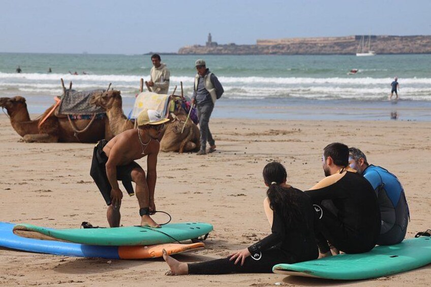 En strand med mennesker, der sidder på surfboards, kameler og en person, der går langs kysten. 1