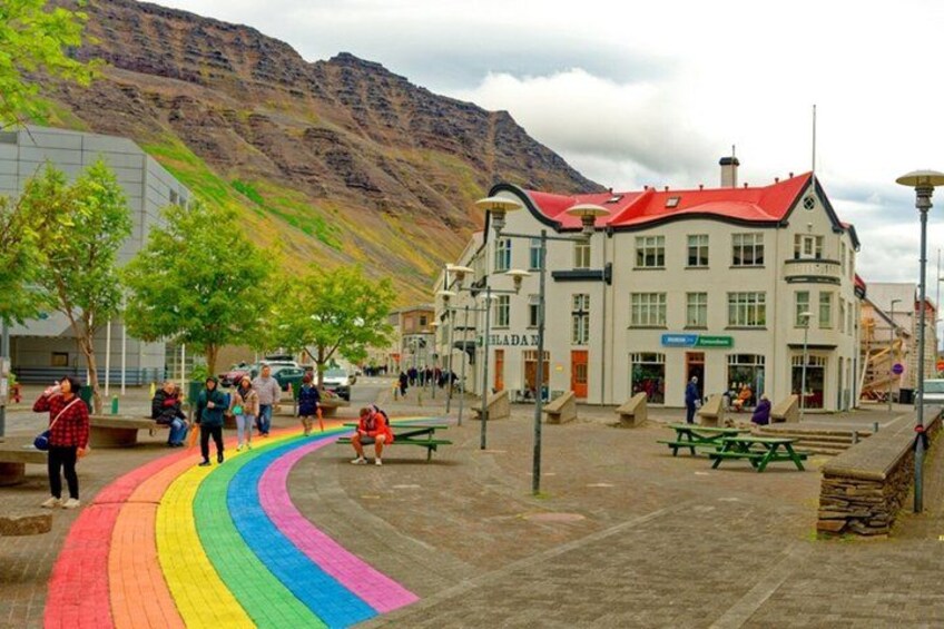 Dynjandi Waterfall and the Oldest Bookstore of Iceland 3