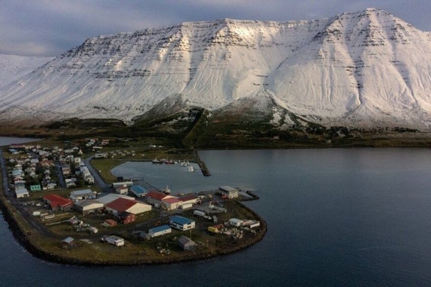 Dynjandi Waterfall and the Oldest Bookstore of Iceland 4