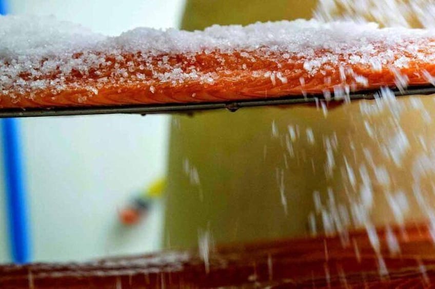 A salmon fillet with salt flakes on a rack. 1