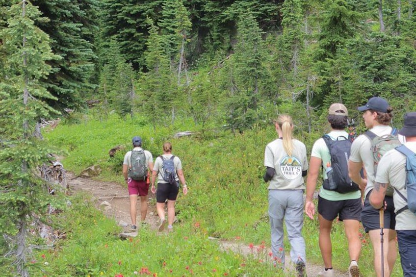 Emerald Basin Guided Hike in Yoho National Park 5