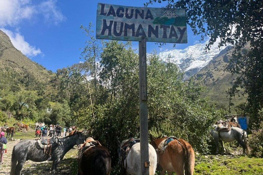 Humantay Lake Full Day Tour from Cusco with Meals Included 5