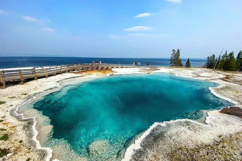 A large turquoise hot spring surrounded by white sand and sparse vegetation. 5