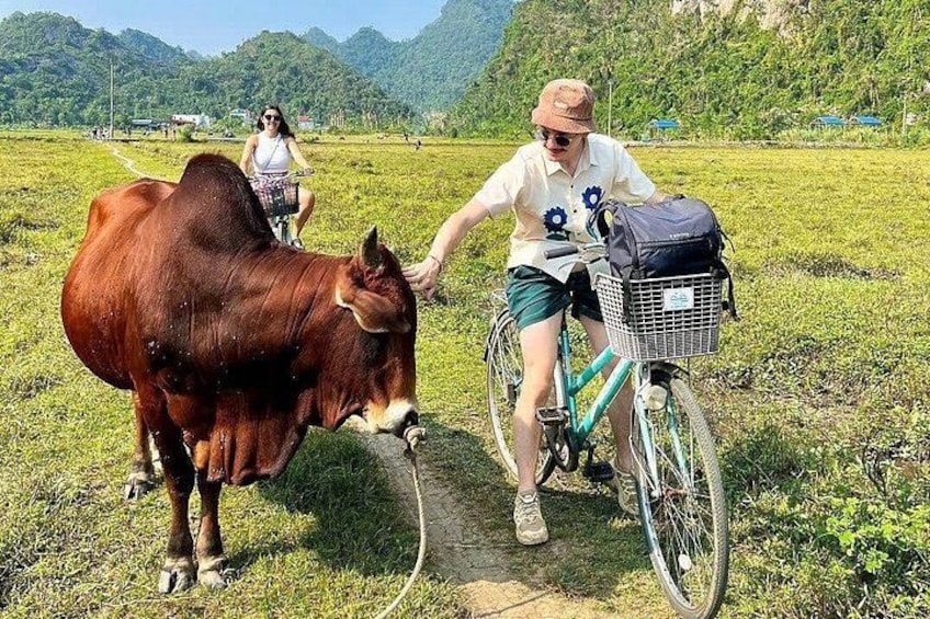 Private Halong and Lan Ha Bay 4 Hour Speedboat Adventure 2