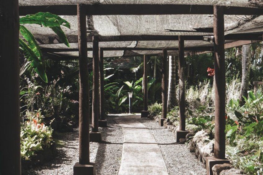 Een overdekte gang met houten pilaren, omringd door weelderige tropische begroeiing. 5
