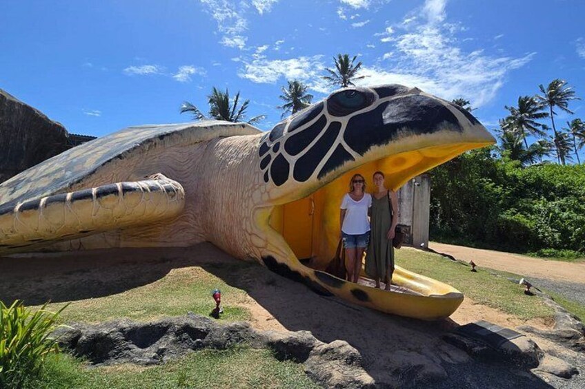 Private Heritage Day Tour from Colombo to Galle by Car/van/bus 4