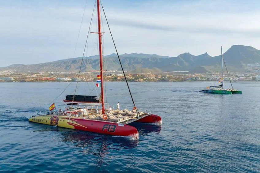 Tenerife 2 Day Tours Package with Highlights and Catamaran Cruise 3