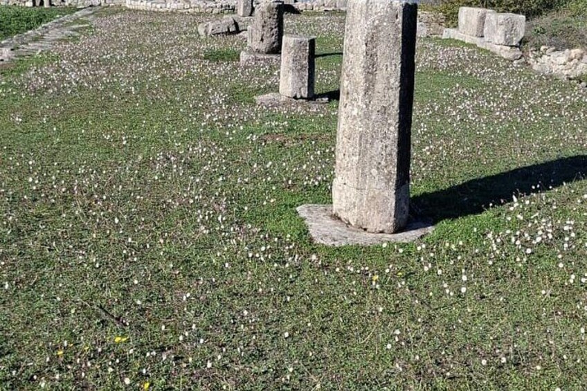 Une zone herbeuse parsemée de structures en pierre, peut-être des ruines, et de quelques fleurs blanches. 4