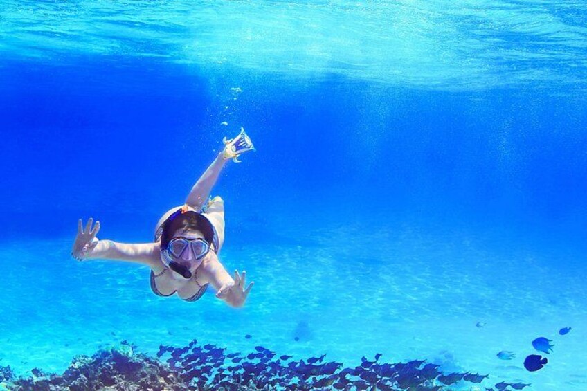 En person som snorklar under vattnet med en klarblå havsbakgrund. 4