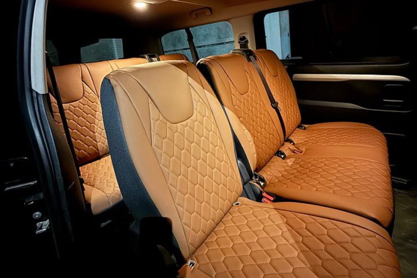 VIP minivan 3