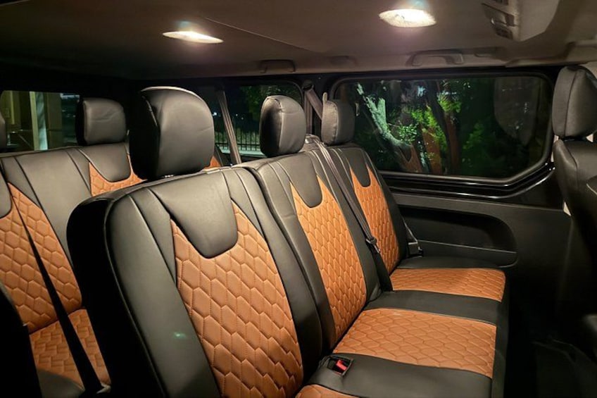 VIP MINIVAN 4