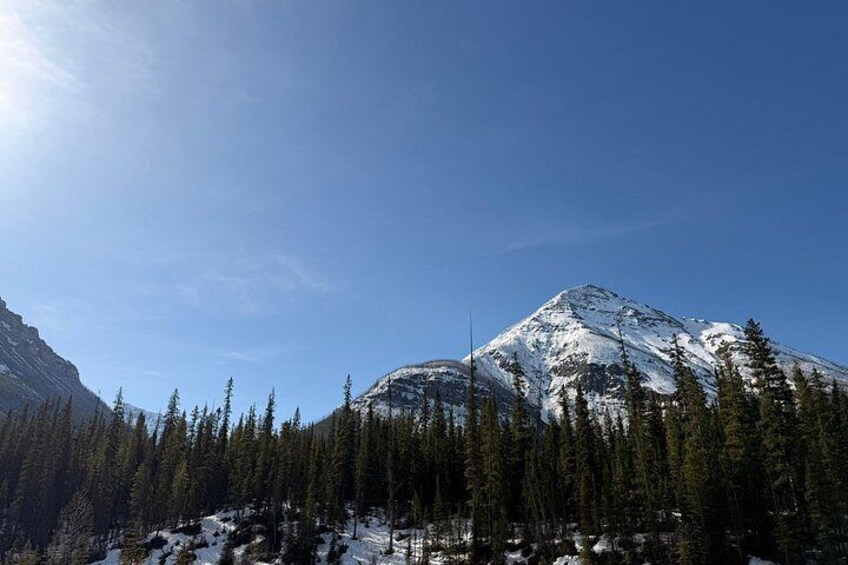 Classic Banff Lake Louise Johnston Canyon and Emerald Lake Tour 4