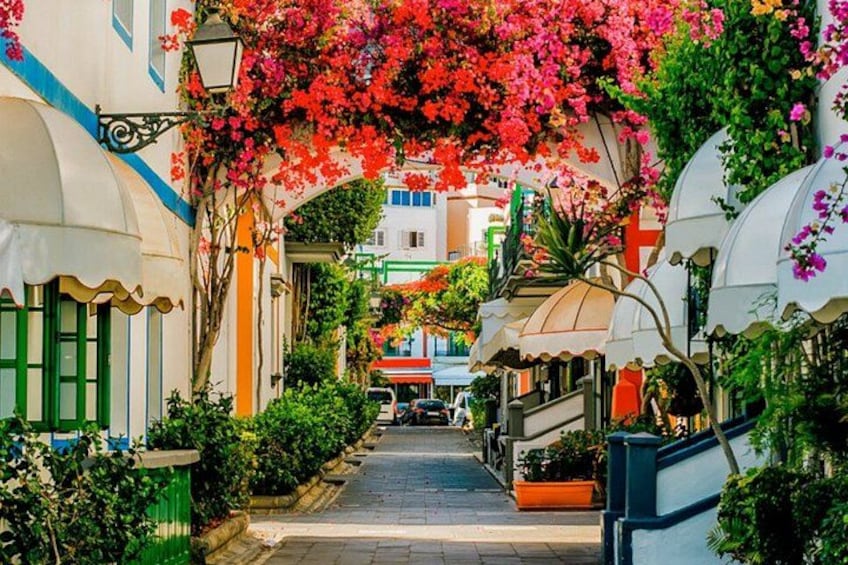 Half Day Puerto de Mogán Friday Market and Shopping Experience 2