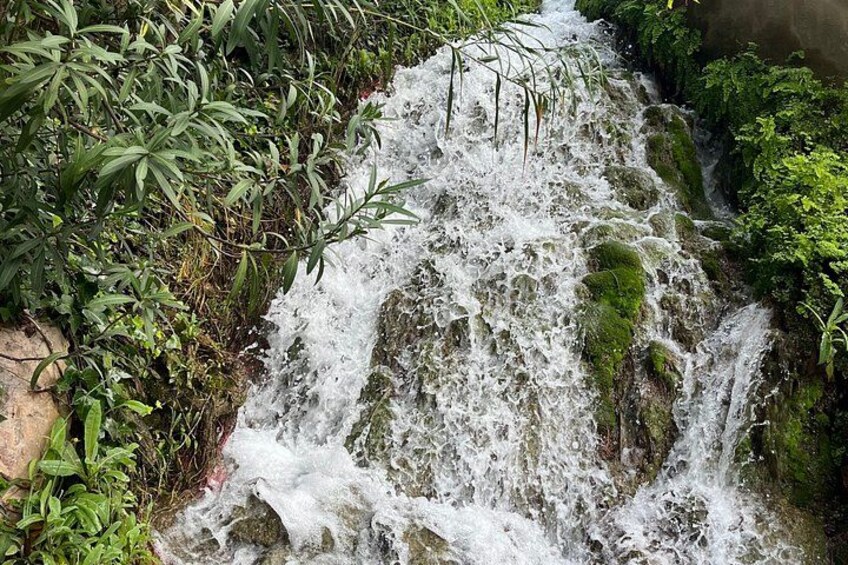 A small waterfall surrounded by lush greenery. 3