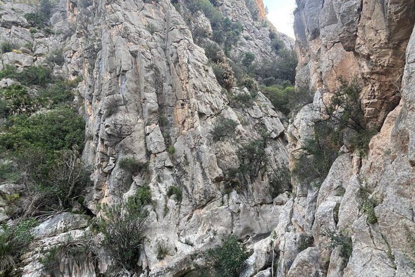 Rugged rocky cliffs with sparse vegetation. 5