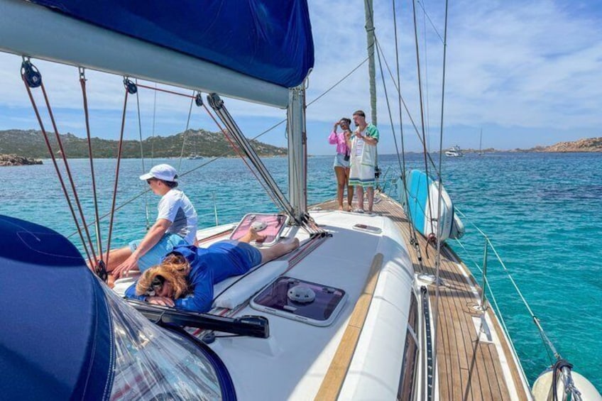 A sailboat with people on deck, a dog, and a clear blue sea. 5
