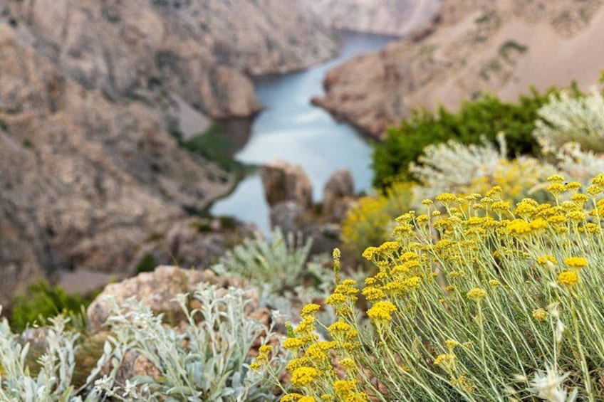 A rocky landscape with a river, yellow flowers, and green shrubs. 5