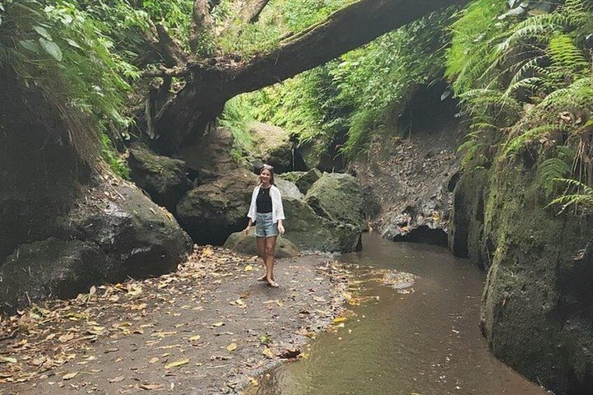 A person standing on a path beside a small stream in a forested area with large rocks and ferns. 3