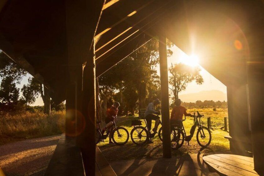 People riding bicycles under a bridge with the sun setting in the background. 5