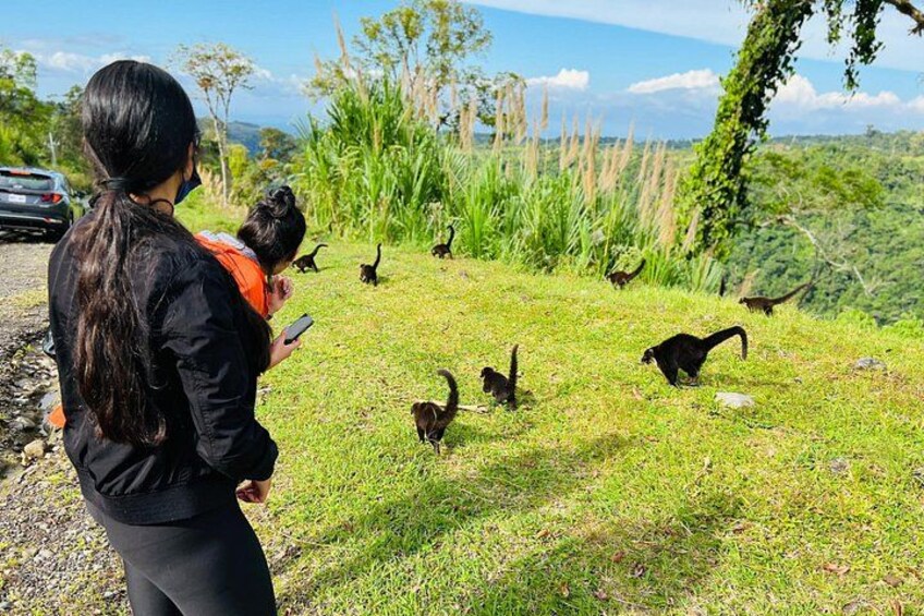 Une femme avec un enfant, entourée de plusieurs singes noirs sur une colline herbeuse. 2