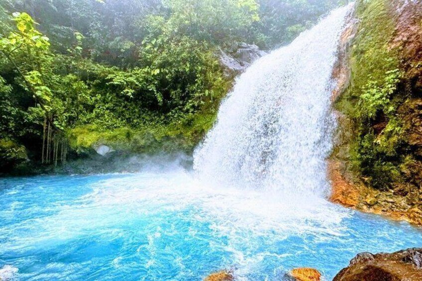 Una cascada se precipita en una piscina azul cristalina rodeada de vegetación exuberante. 4