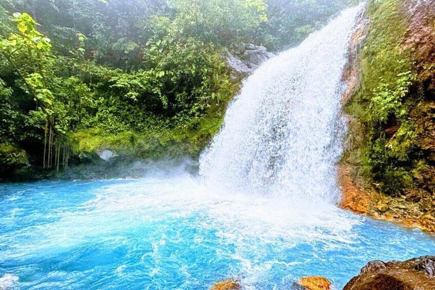 Une cascade, une piscine aux eaux d’un bleu limpide et une végétation luxuriante. 4