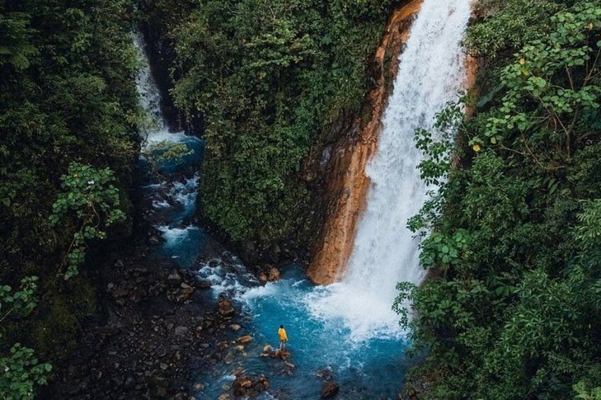 Une cascade entourée d’un feuillage verdoyant et luxuriant. 1