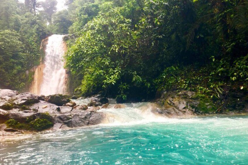 Una cascada que cae en una piscina turquesa rodeada de abundante vegetación. 5