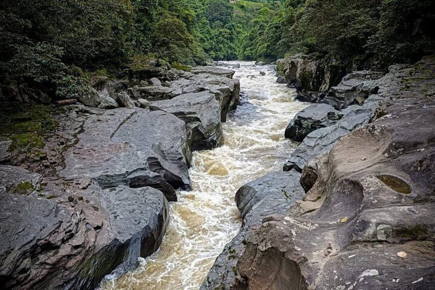 A river flowing through a rocky gorge surrounded by dense forest. 1